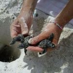 article image -